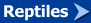 Reptiles